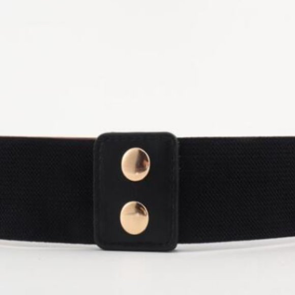 Gold Plate Front Elastic Belt - Picture 6 of 8